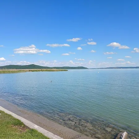 Апартаменты Lent A Parton - *