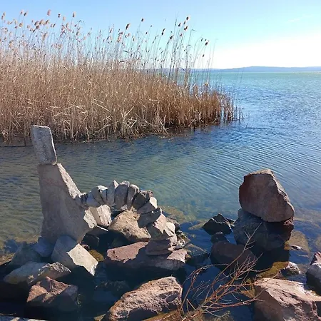 Lent A Parton - Апартаменты