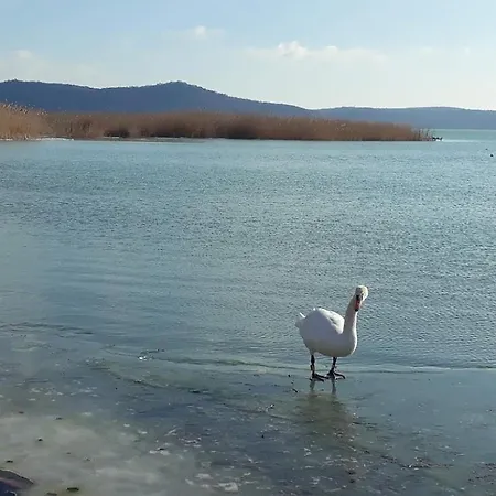 Lent A Parton - Апартаменты *