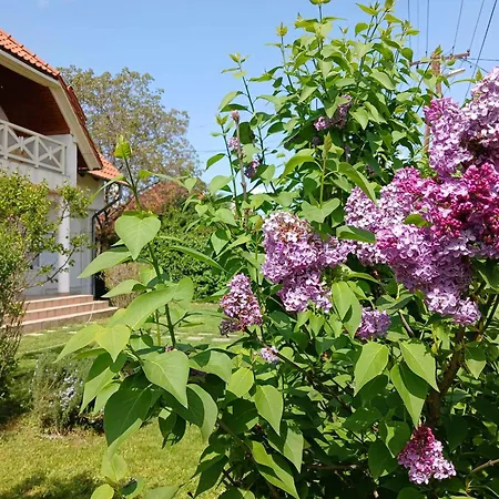 Апартаменты Lent A Parton - *